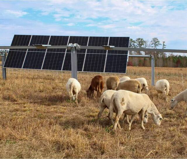 Nc State Agrivoltaics Traning Center (1) (1) (1)